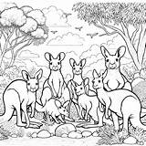 Kangaroo Coloring Pages 35  Gem sketch template