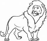 Lion Coloring Pages  Learny Kids sketch template