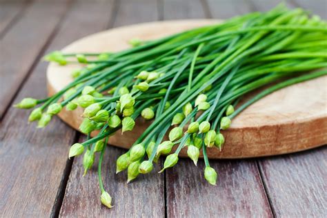 HERB CHIVES GARLIC 20G – Agri-gro Namibia