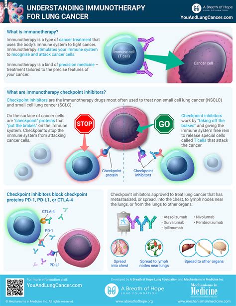 Understanding Immunotherapy for Lung Cancer