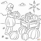 Free Printable Harvest Coloring Pages sketch template