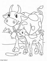 Cow And Calf coloring Page sketch template