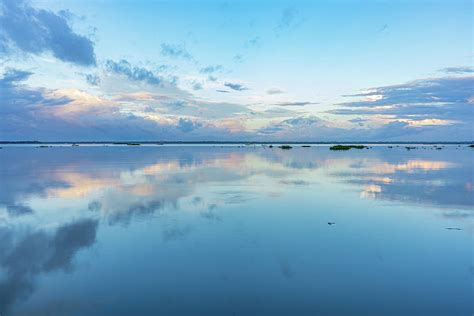 Vembanad Lake Photograph by Carl Nehore - Fine Art America