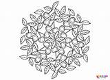 25 Cherry Coloring Pages  ColoringPagesOnlycom sketch template