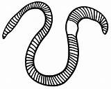 Free Printable Earthworm Coloring Page  Pages sketch template