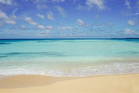 What's it Like to Travel in Tonga? | Never Ending Footsteps | Oceania travel, What is like ...