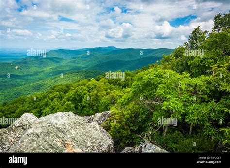 View of the Blue Ridge Mountains from Turk Mountain in Shenandoah National Park, Virginia Stock ...