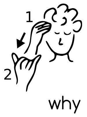 ASL - Why #signlanguagebasics | Sign language alphabet, Sign language ...