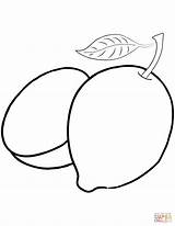 Two Lemons coloring Page  Free Printable Coloring Pages sketch template