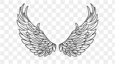 Angel Wings Clipart Images | Free Download | PNG Transparent Background - Pngtree