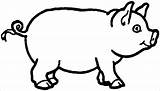 Pig Coloring Pages  ColoringBay sketch template