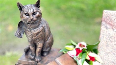 Street Cat Bob: Statue unveiled to animal that inspired books and films - BBC News