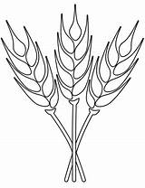Wheat coloring Page  Free Printable Coloring Pages sketch template