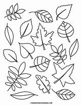 Leaf Coloring Pages Free Printables  The Best Ideas For Kids sketch template