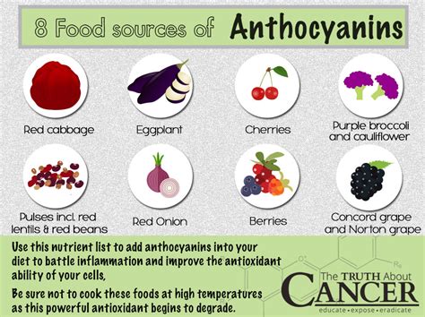 Anthocyanins: 4 Ways This Unique Plant Pigment Protects Against Cancer