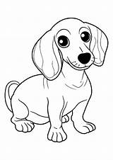 Premium Vector  Dachshund Coloring Page Line Art sketch template