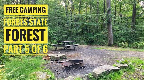 Free Camping at Forbes State Forest in PA, Part 5 of 6 - YouTube