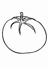 Tomato Coloring Pages  Best For Kids sketch template