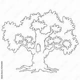 Tree coloring Book Cartoon Circuit Vector Stock  Adobe sketch template