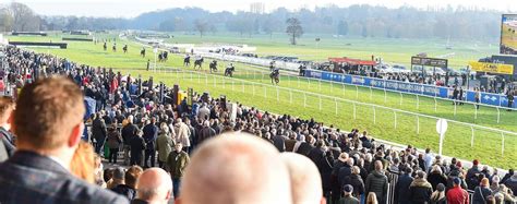 Beer Festival Raceday Tickets | 16 Nov 2024 | Uttoxeter Racecourse | Koobit