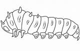 Caterpillar coloring Page  Free Printable Coloring Pages sketch template