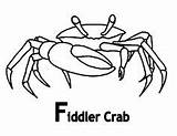 28 Crab Coloring Pages Ideas  coloring Pictures sketch template