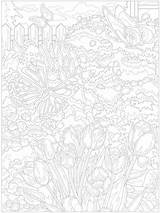 Welcome to Dover Publications  Coloring Pages Colouring Color sketch template