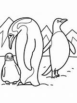 25  antarctica Coloring Page HaroldJanine sketch template