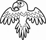 Parrot Coloring Printable Kleurplaat Sketch Page sketch template