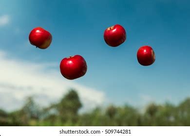 Gravity Images, Stock Photos & Vectors | Shutterstock