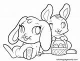 50 Cute Bunnies Coloring Pages  ColoringPagesOnlycom sketch template