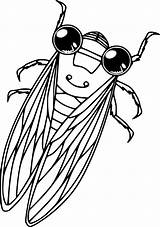 Cicada Coloring Pages  Cool sketch template