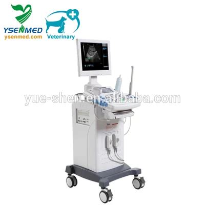Medical Veterinary Equipment Ysb9618CV Portable Veterinary Ultrasound Machine - China Veterinary ...