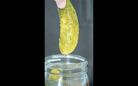 Fermented half sour pickles | Showit Blog