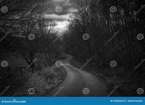 Dark and Creepy Winding Road in Black and White Tone Stock Photo ...