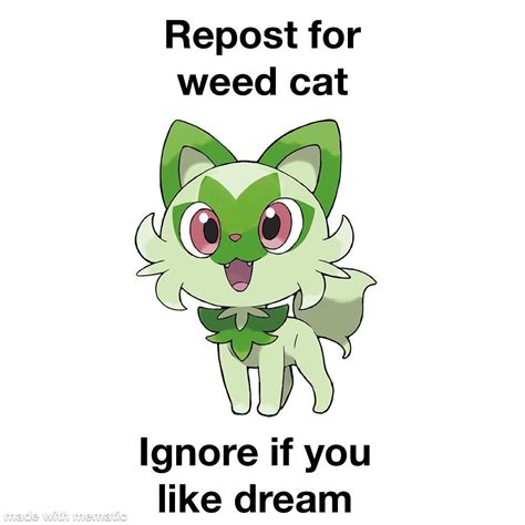 Weed cat : pokemon