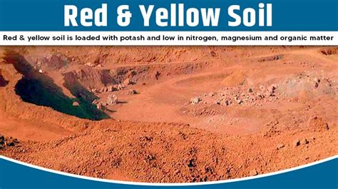 What is Red and yellow soil? 7 benefits of the soil - TFIGlobal