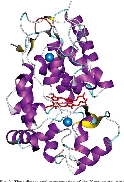 Figure 6 from Horseradish peroxidase: a modern view of a classic enzyme. | Semantic Scholar