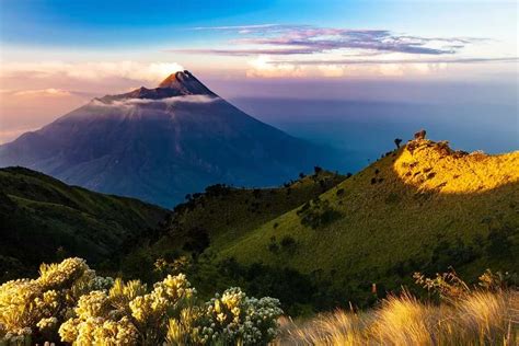 9 Fakta Pulau Jawa yang Perlu Diketahui - SEKOLAH PRESTASI GLOBAL