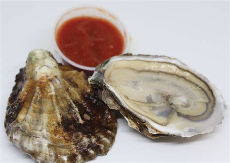 Blue Point Oysters In Shell - Cruising Crab