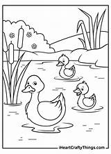 15 Duck Coloring Pages 100% Free Printables sketch template