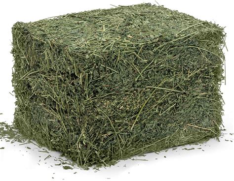 alfalfa hay bales for sale - Farmers Market Kenya