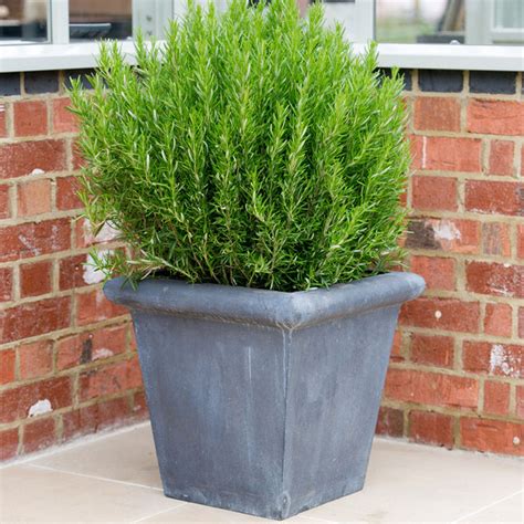 Plain Zinc Planters | A Place In The Garden