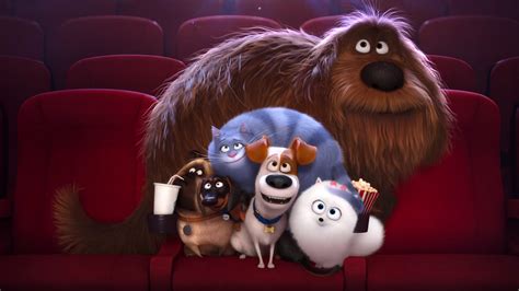 Download Movie The Secret Life Of Pets HD Wallpaper