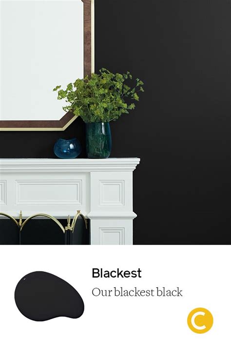 Blackest | Black paint color, Black painted walls, Best black paint color