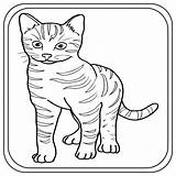 Cat Coloring Pages Preschool  Kindergarten First Grade Made By sketch template