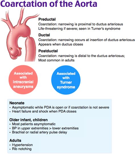 Symptoms Of Coarctation Of The Aorta