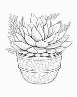 Succulents Printable Coloring Pages sketch template