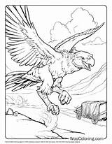 100  Griffin Coloring Pages Free PDF To Print Woo Coloring sketch template