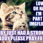 Praying cat Meme Generator - Imgflip